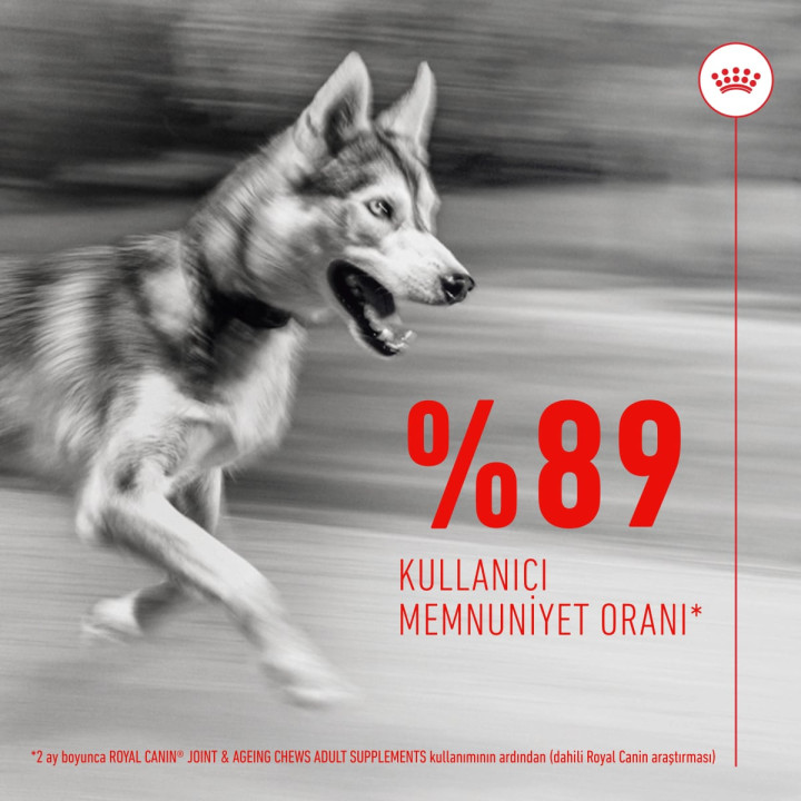 Joint&Ageing Chews Eklem ve Sağlıklı Yaşlanmayı Destekleyen Tamamlayıcı Ödül Maması 1 x 240 g