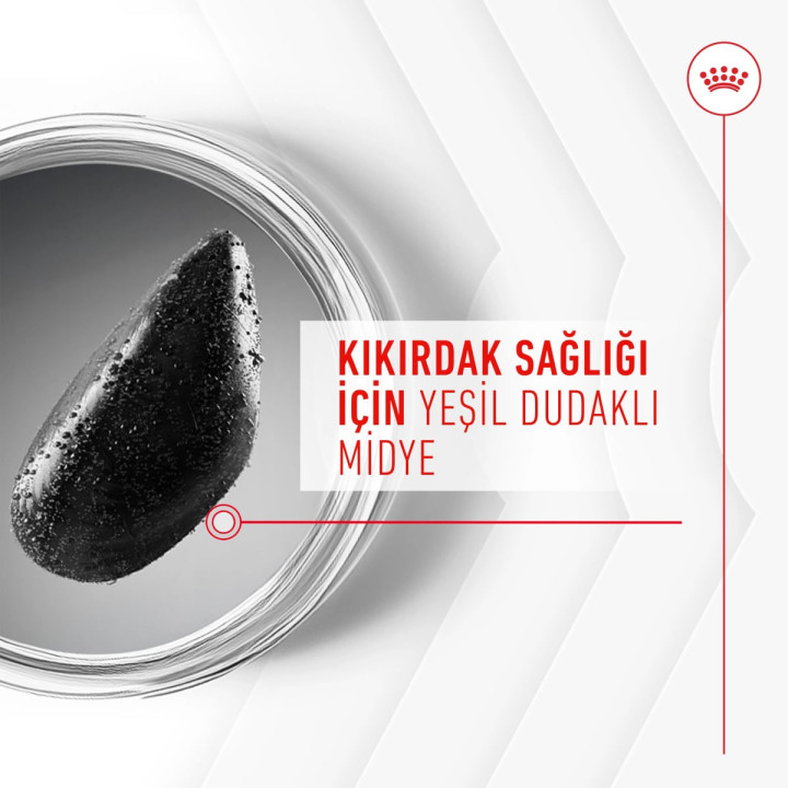 Joint&Ageing Chews Eklem ve Sağlıklı Yaşlanmayı Destekleyen Tamamlayıcı Ödül Maması 1 x 240 g