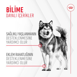 Joint&Ageing Chews Eklem ve Sağlıklı Yaşlanmayı Destekleyen Tamamlayıcı Ödül Maması 1 x 240 g