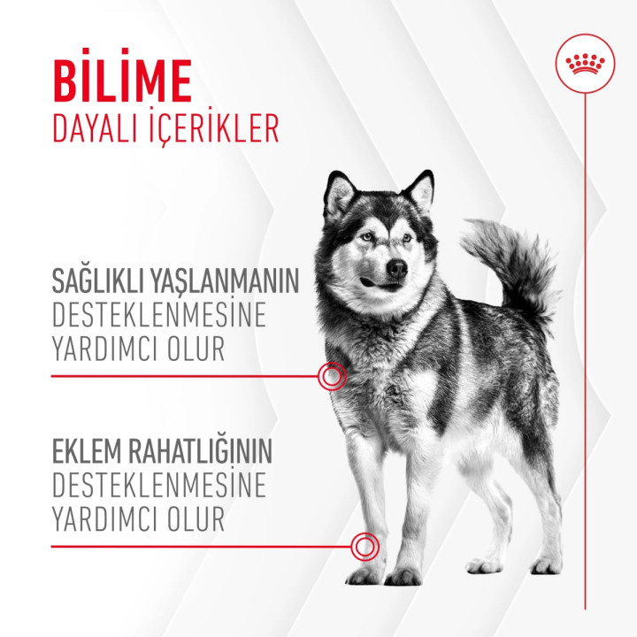 Joint&Ageing Chews Eklem ve Sağlıklı Yaşlanmayı Destekleyen Tamamlayıcı Ödül Maması 1 x 240 g