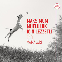 Training Treats Eğitim Amaçlı Ödül Maması 1 x 110 g
