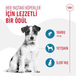 Training Treats Eğitim Amaçlı Ödül Maması 1 x 110 g