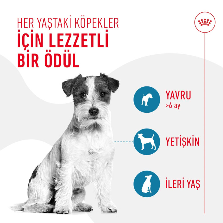 Training Treats Eğitim Amaçlı Ödül Maması 1 x 110 g