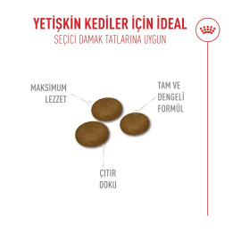 Fussy Exigent Yetişkin Kedi Kuru Maması 2 kg