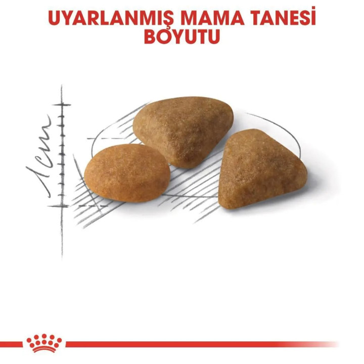 Fussy Exigent Yetişkin Kedi Kuru Maması 2 kg