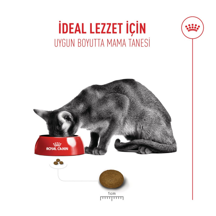 Fussy Exigent Yetişkin Kedi Kuru Maması 10 kg