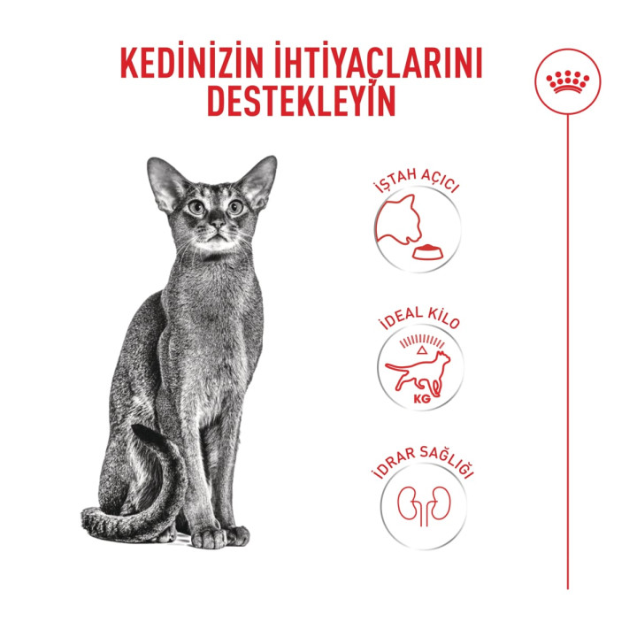 Fussy Exigent Yetişkin Kedi Kuru Maması 10 kg