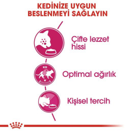 Fussy Exigent Yetişkin Kedi Kuru Maması 10 kg