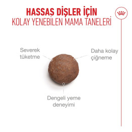 Ageing 15+ Yaşlı Kedi Kuru Maması 2 kg