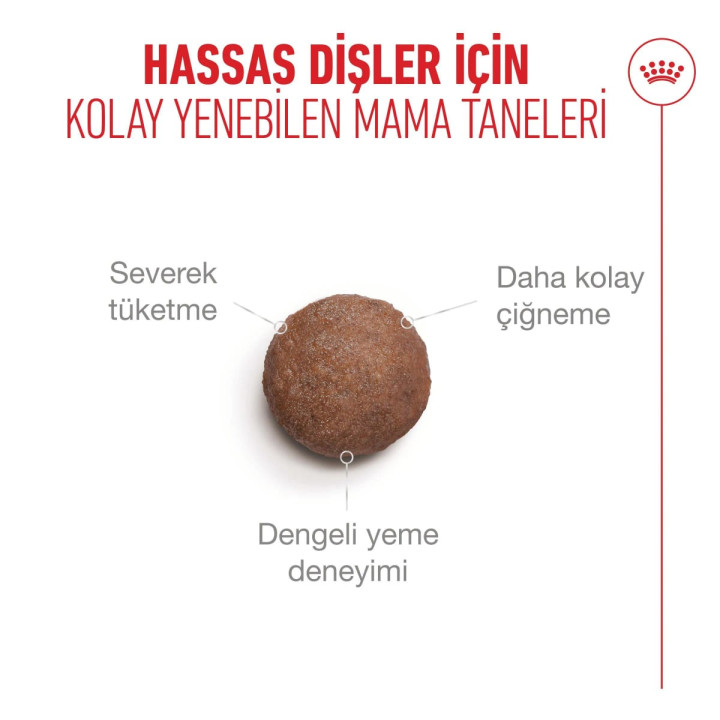 Ageing 15+ Yaşlı Kedi Kuru Maması 2 kg