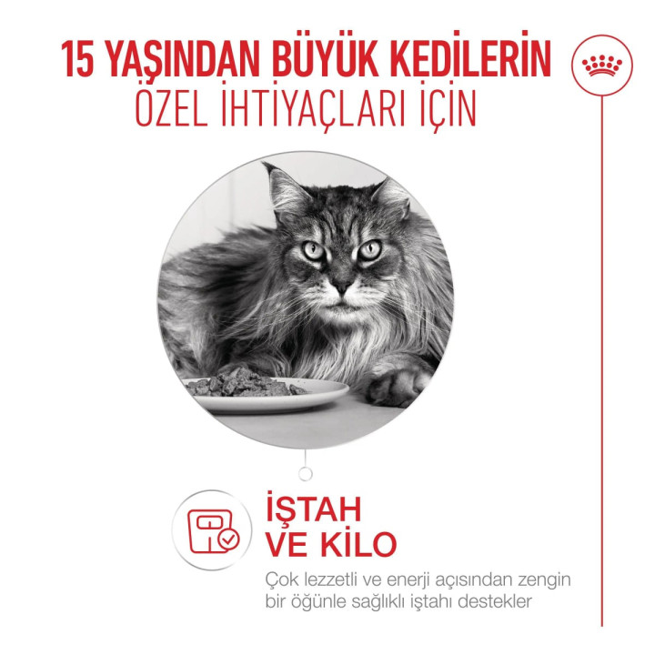 Ageing 15+ Yaşlı Kedi Kuru Maması 2 kg
