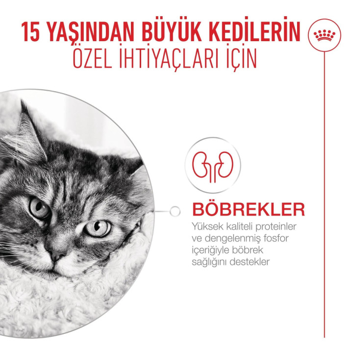 Ageing 15+ Yaşlı Kedi Kuru Maması 2 kg