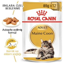 Maine Coon Yetişkin Kedi Yaş Maması 12 x 85 g