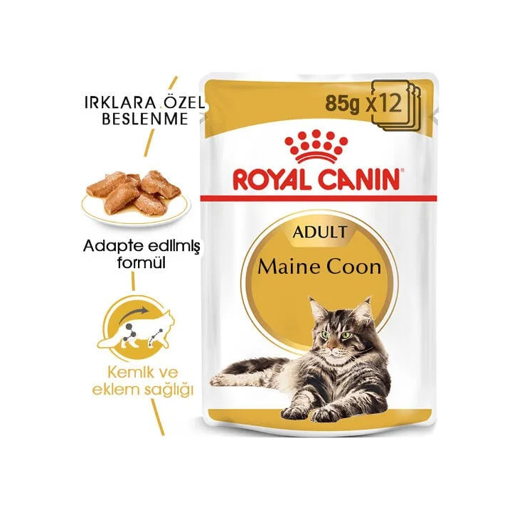 Maine Coon Yetişkin Kedi Yaş Maması 12 x 85 g
