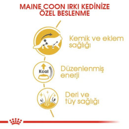 Maine Coon Yetişkin Kedi Yaş Maması 12 x 85 g