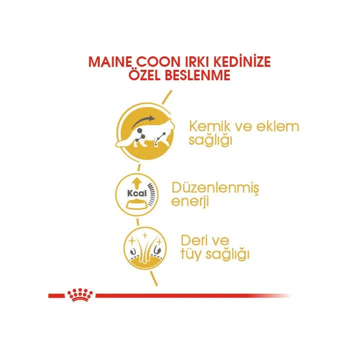 Maine Coon Yetişkin Kedi Yaş Maması 12 x 85 g