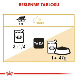 Maine Coon Yetişkin Kedi Yaş Maması 12 x 85 g