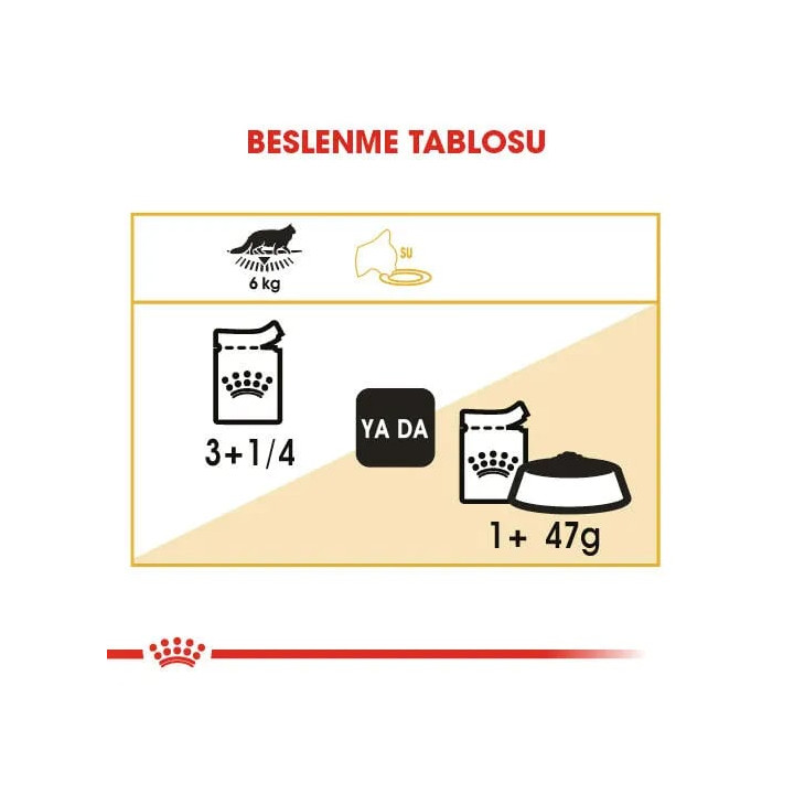 Maine Coon Yetişkin Kedi Yaş Maması 12 x 85 g