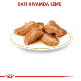 Maine Coon Yetişkin Kedi Yaş Maması 12 x 85 g
