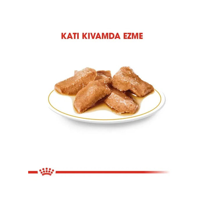 Maine Coon Yetişkin Kedi Yaş Maması 12 x 85 g