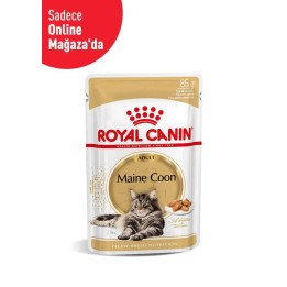 Maine Coon Yetişkin Kedi Yaş Maması 12 x 85 g