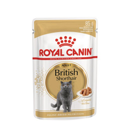 British Shorthair Yetişkin Kedi Yaş Maması 12 x 85 g