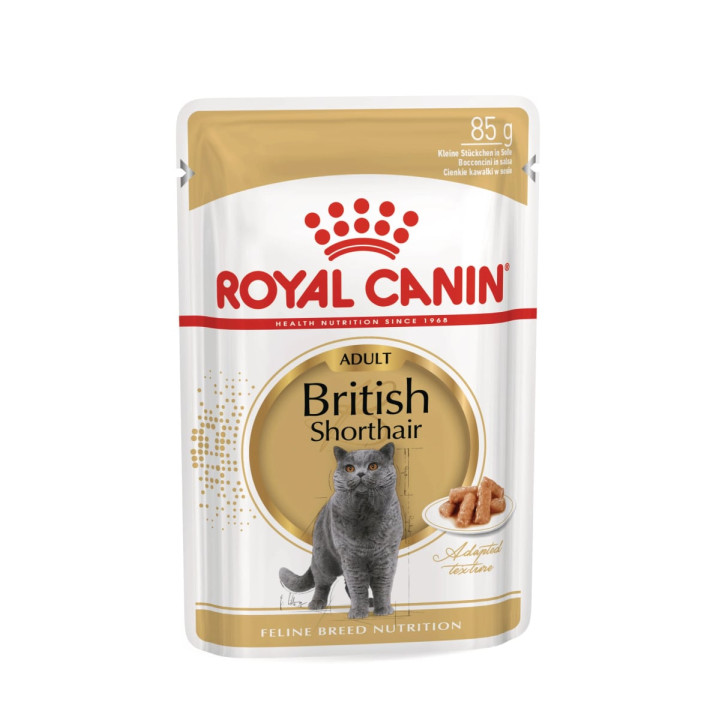 British Shorthair Yetişkin Kedi Yaş Maması 12 x 85 g