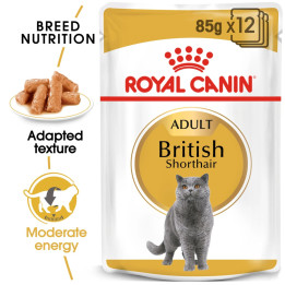 British Shorthair Yetişkin Kedi Yaş Maması 12 x 85 g