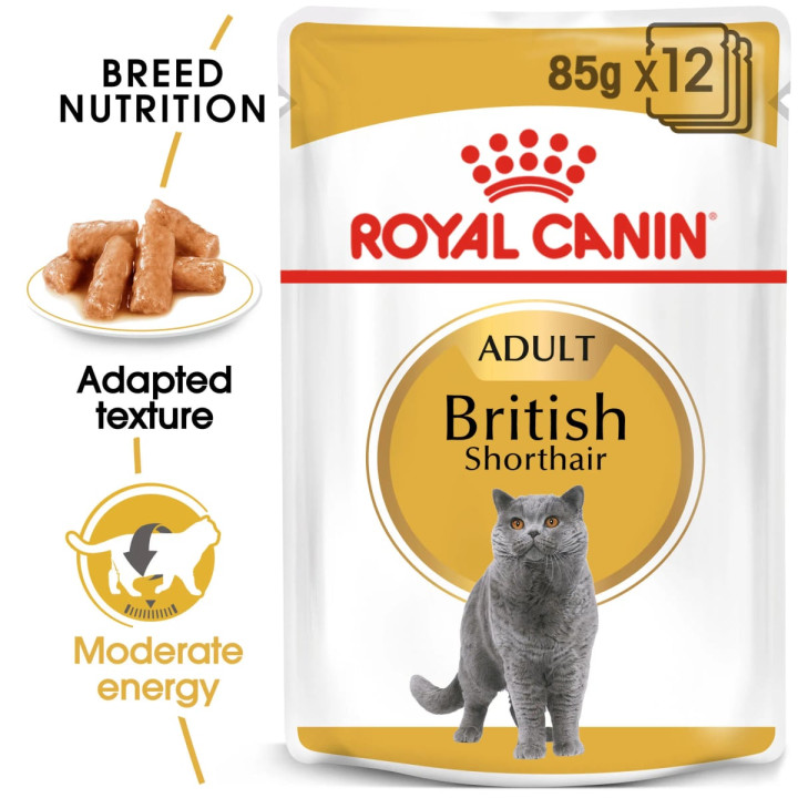 British Shorthair Yetişkin Kedi Yaş Maması 12 x 85 g