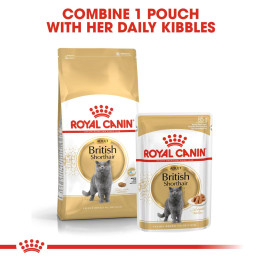 British Shorthair Yetişkin Kedi Yaş Maması 12 x 85 g