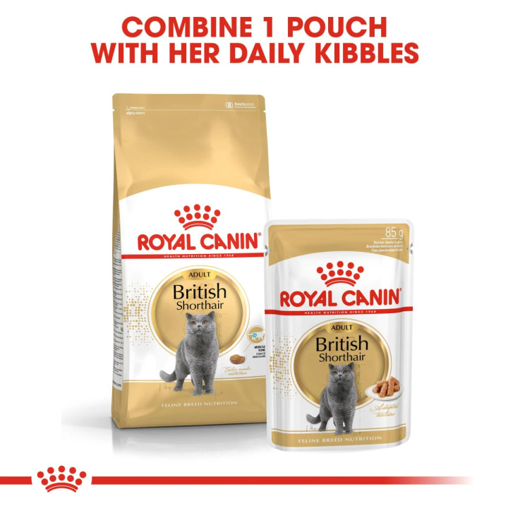 British Shorthair Yetişkin Kedi Yaş Maması 12 x 85 g