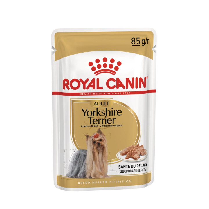 Yorkshire Terrier Yetişkin Köpek Yaş Maması 12 x 85 g