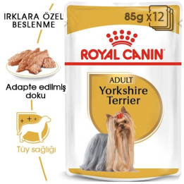 Yorkshire Terrier Yetişkin Köpek Yaş Maması 12 x 85 g