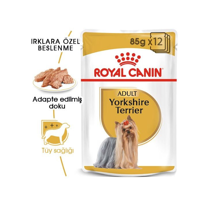 Yorkshire Terrier Yetişkin Köpek Yaş Maması 12 x 85 g