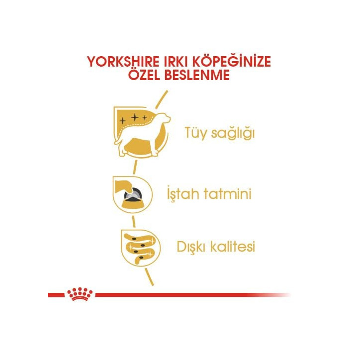 Yorkshire Terrier Yetişkin Köpek Yaş Maması 12 x 85 g