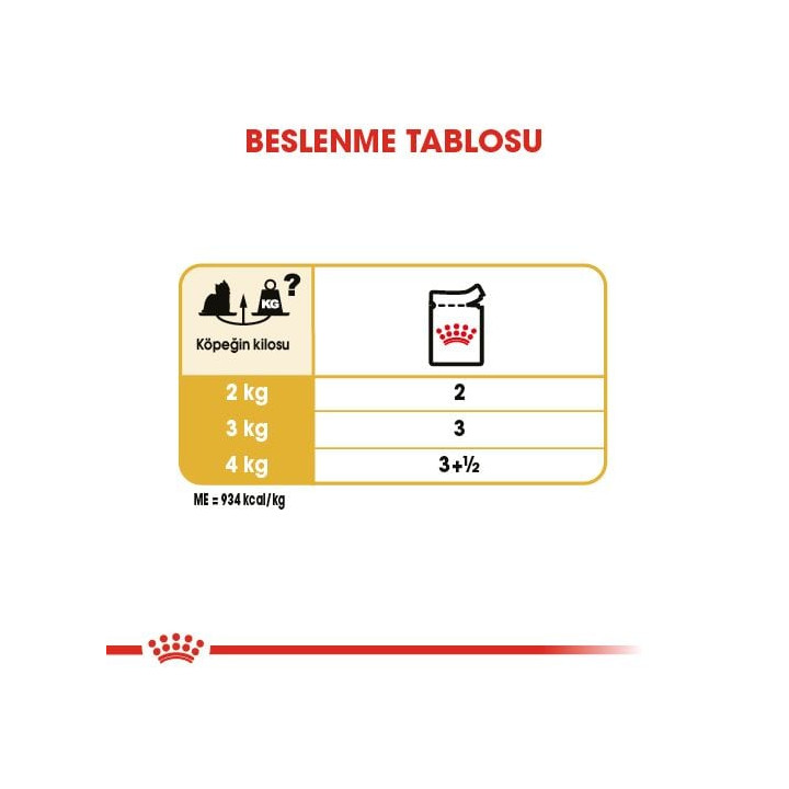 Yorkshire Terrier Yetişkin Köpek Yaş Maması 12 x 85 g