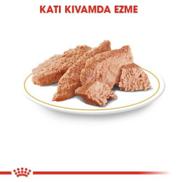 Yorkshire Terrier Yetişkin Köpek Yaş Maması 12 x 85 g