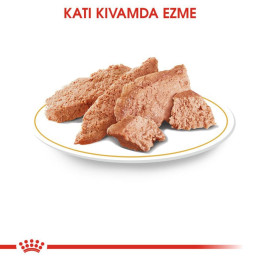 Chihuahua Yetişkin Köpek Yaş Maması 12 x 85 g