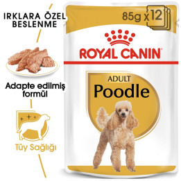 Poodle Yetişkin Köpek Yaş Maması 12 x 85 g