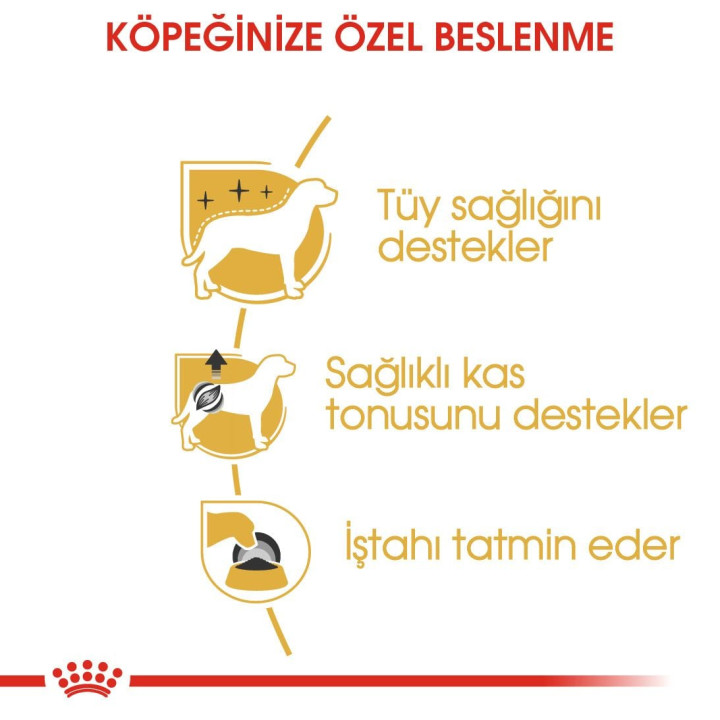 Poodle Yetişkin Köpek Yaş Maması 12 x 85 g