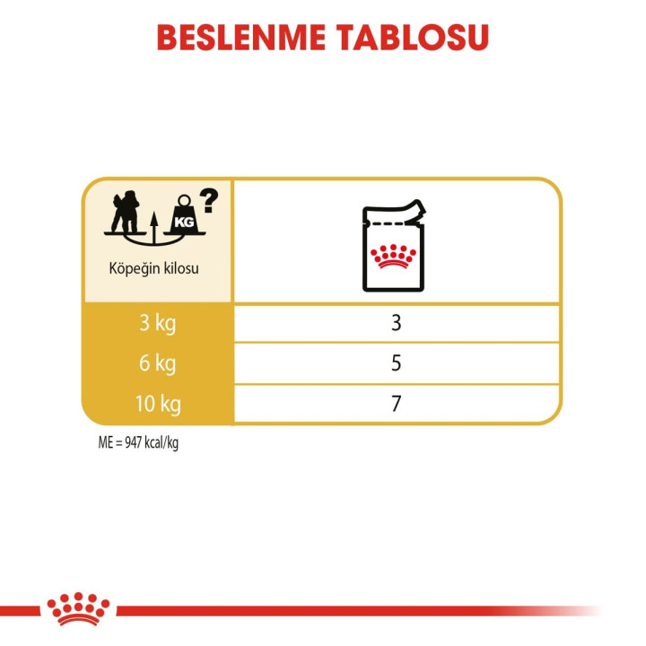Poodle Yetişkin Köpek Yaş Maması 12 x 85 g