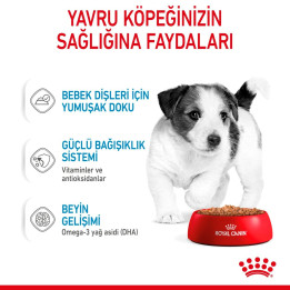 Mini Puppy Yavru Köpek Yaş Maması 12 x 85 g