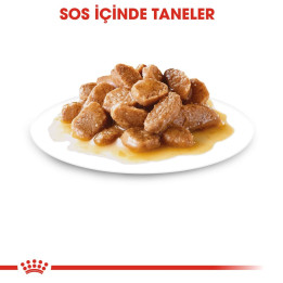 Mini Adult Gravy Yetişkin Köpek Yaş Maması 12 x 85 g