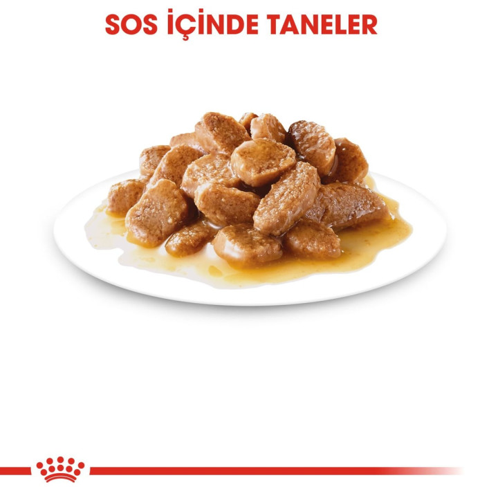 Mini Adult Gravy Yetişkin Köpek Yaş Maması 12 x 85 g