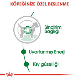 Mini Adult Gravy Yetişkin Köpek Yaş Maması 12 x 85 g