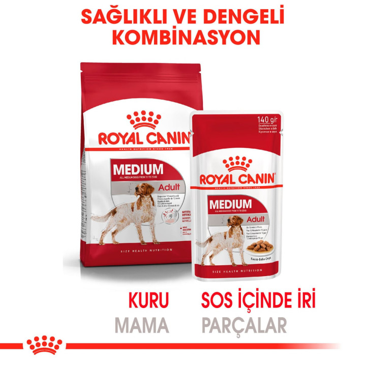 Medium Adult Gravy Yetişkin Köpek Yaş Maması 10 x 140 g