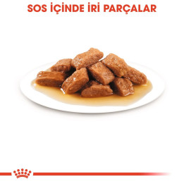 Medium Adult Gravy Yetişkin Köpek Yaş Maması 10 x 140 g
