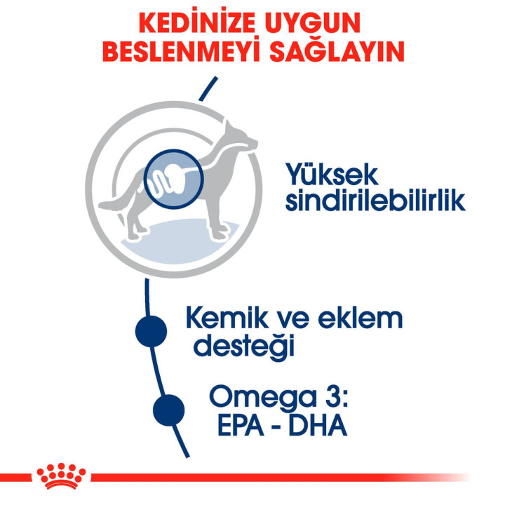 Maxi Adult Gravy Yetişkin Köpek Yaş Maması 10 x 140 g