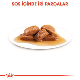 Maxi Adult Gravy Yetişkin Köpek Yaş Maması 10 x 140 g