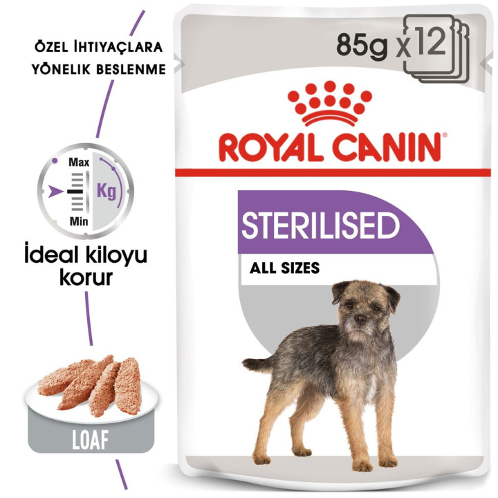 Sterilised Loaf Yetişkin Köpek Yaş Maması 12 x 85 g